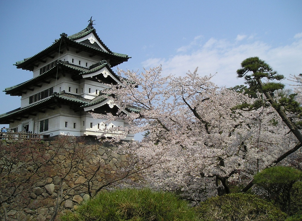 弘前城 天守と桜