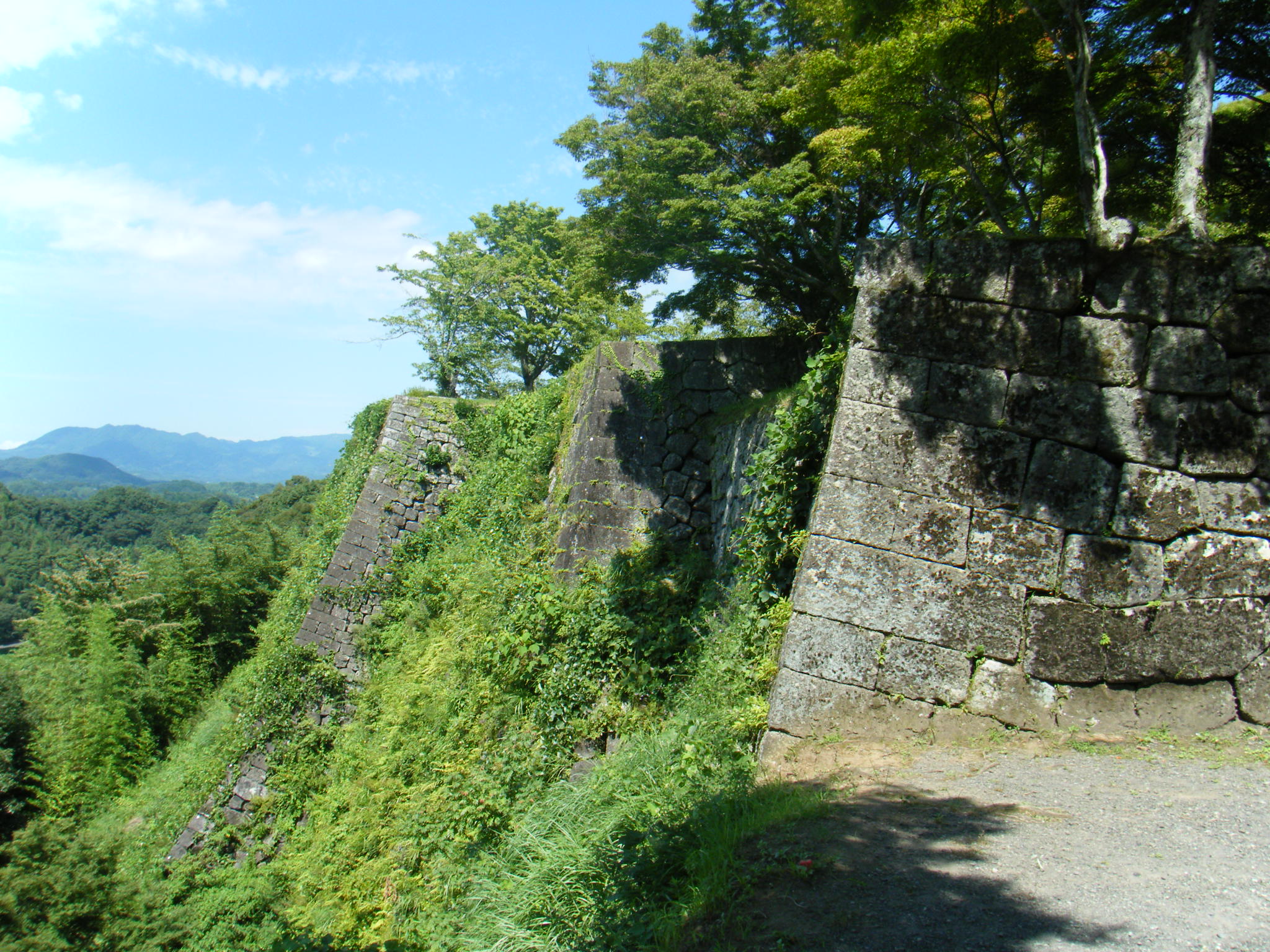 岡城 鋭い cliff にそびえる本丸高石垣と阿蘇くじゅうの山並み