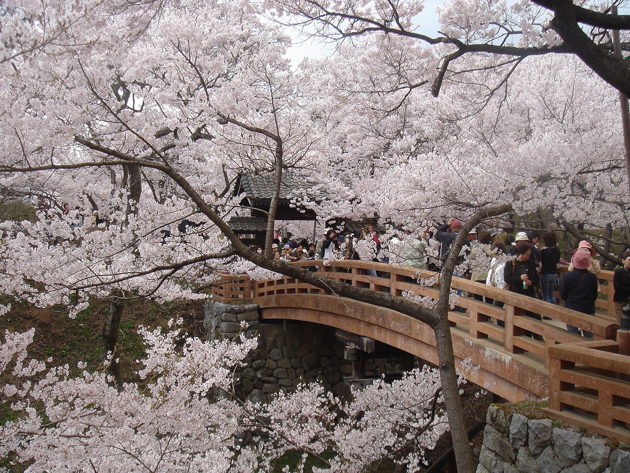 高遠城 桜と門
