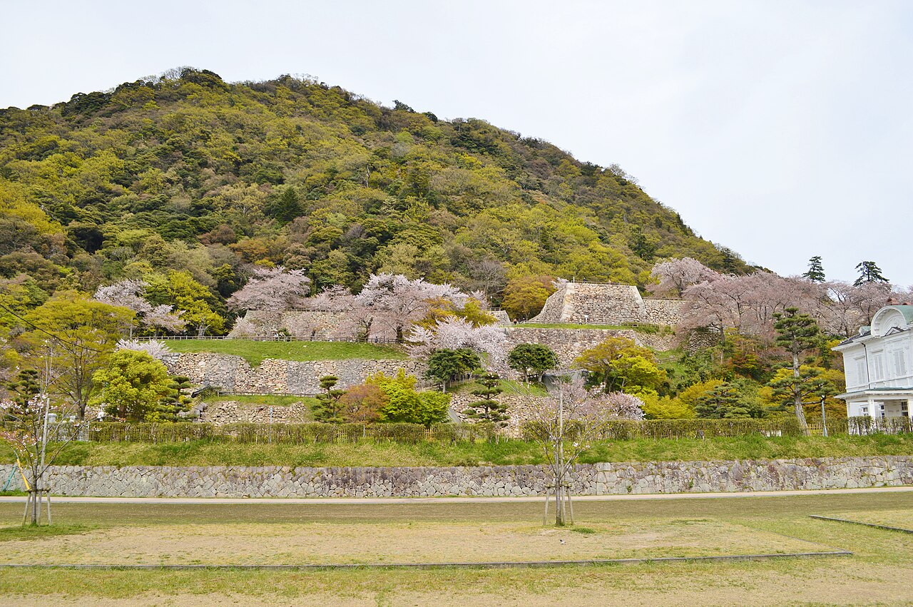 鳥取城 石垣遺構